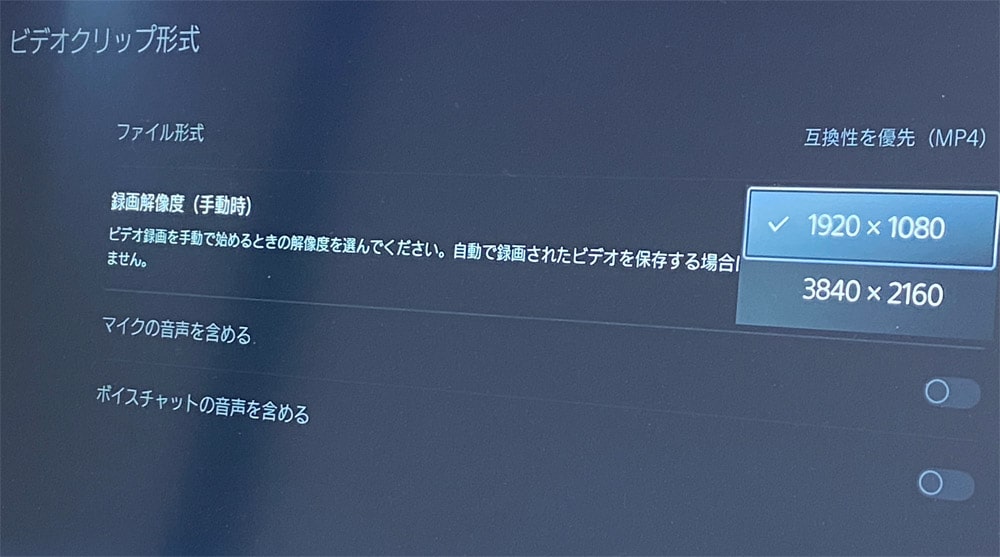 ビデオクリップ形式