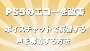 ps5-エコーを改善